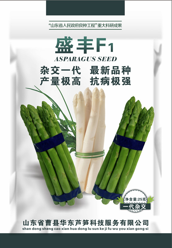 山東曹縣蘆筍種子盛豐F1 國產(chǎn)四季蔬菜蘆筍種子石刁柏
