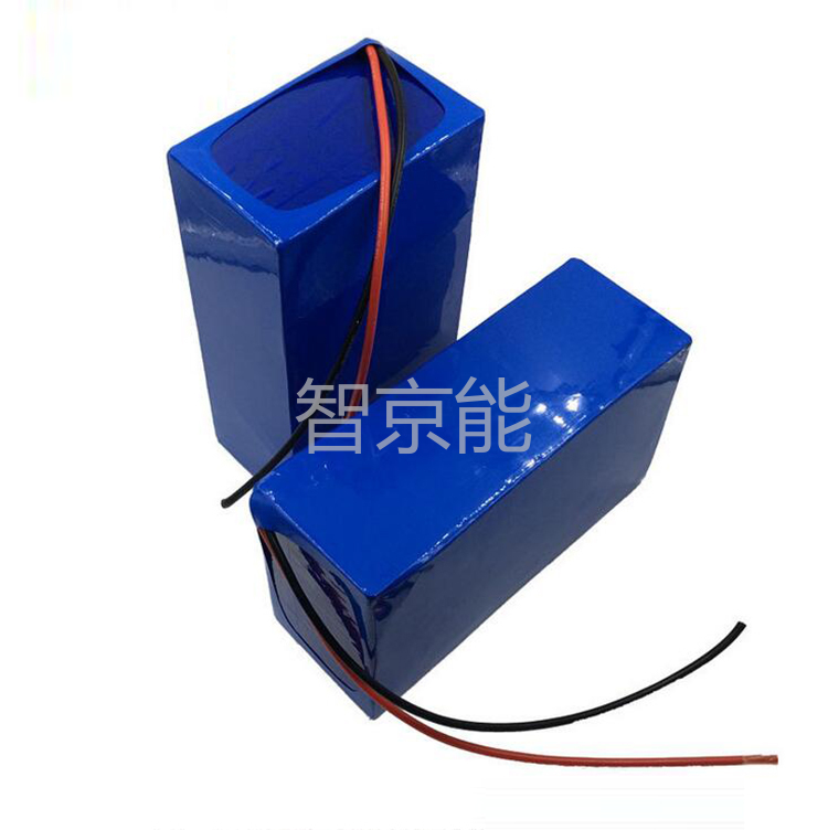 48V10安時(shí)動(dòng)力電動(dòng)車鋰電池