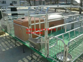 母豬雙體復(fù)合產(chǎn)床母豬分娩床