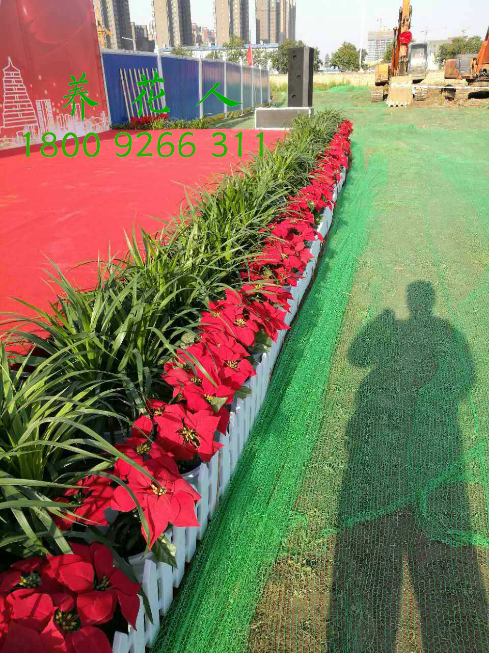 西安臨時(shí)租擺