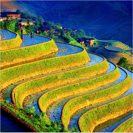 |桂林包車電話，桂林旅游包車|桂林旅游租車  陽朔旅游包車