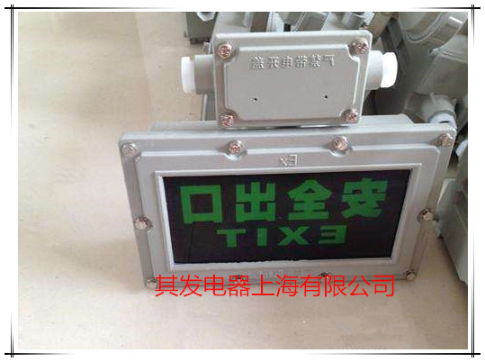BAYD系列防爆標(biāo)志燈