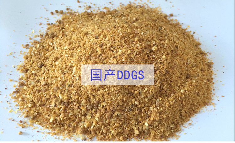 玉米DDGS 生產(chǎn)DDGS