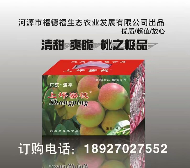 大量供應鷹嘴蜜桃