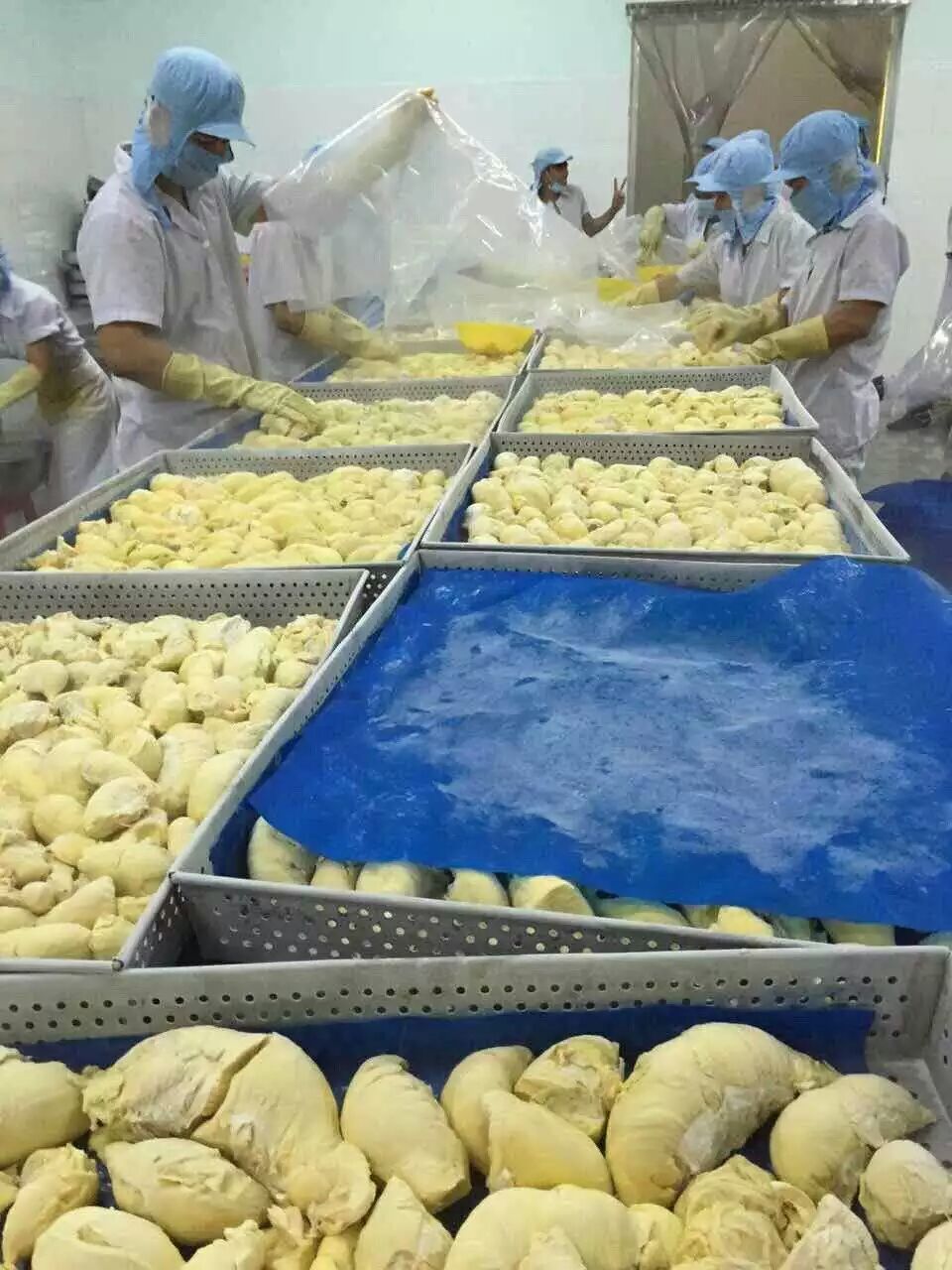 泰國(guó)榴蓮肉 泰國(guó)榴蓮價(jià)格 哪里有泰國(guó)榴蓮賣(mài)