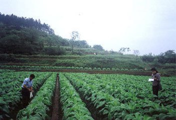 廠家直銷法國愛森A30農(nóng)田保水劑 大量批發(fā)法國愛森A30農(nóng)田保水劑 法國愛森A30農(nóng)田保水劑價格