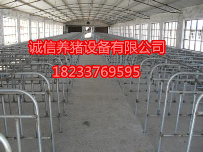 養(yǎng)豬設(shè)備市場(chǎng)母豬限位欄妊娠期豬圈定位欄設(shè)備型號(hào) 限位欄母豬定位欄