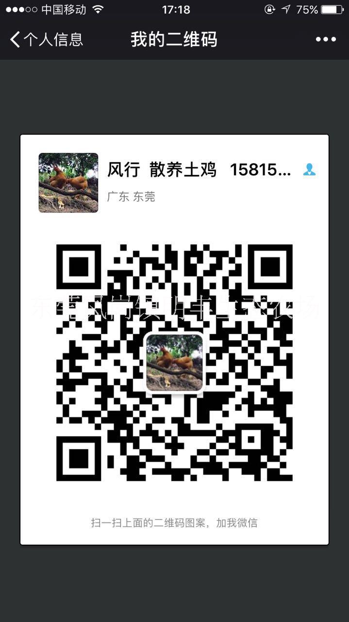東莞散養(yǎng)土雞經銷商 農家雞批發(fā) 供應農家雞 果園走地雞 東莞走地雞養(yǎng)殖戶