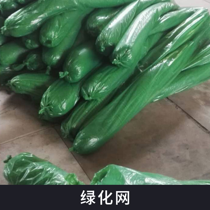 熱塑性樹脂防水土流失護(hù)坡綠化網(wǎng)批發(fā)植被土壤固土三維網(wǎng)土工網(wǎng)墊