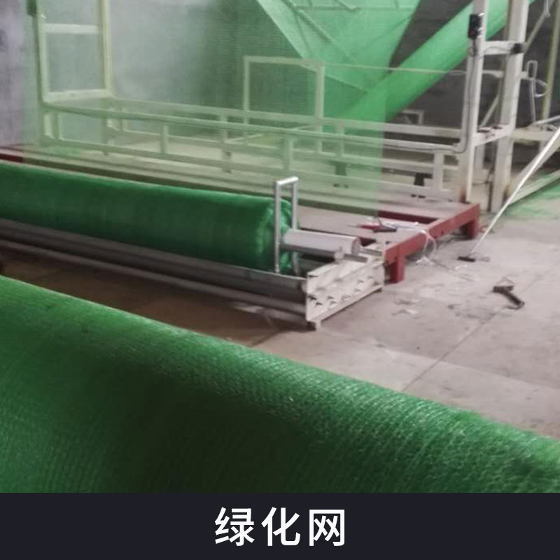 熱塑性樹脂防水土流失護(hù)坡綠化網(wǎng)批發(fā)植被土壤固土三維網(wǎng)土工網(wǎng)墊