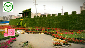 五色草造型-空城計 五色草立體造型-空城計