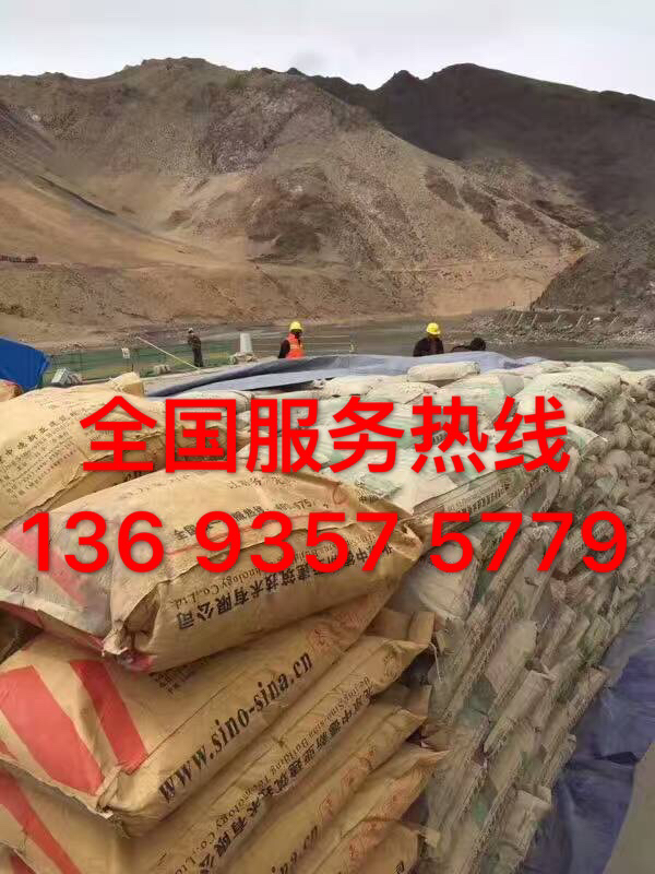 CGM聚合物水泥注漿料