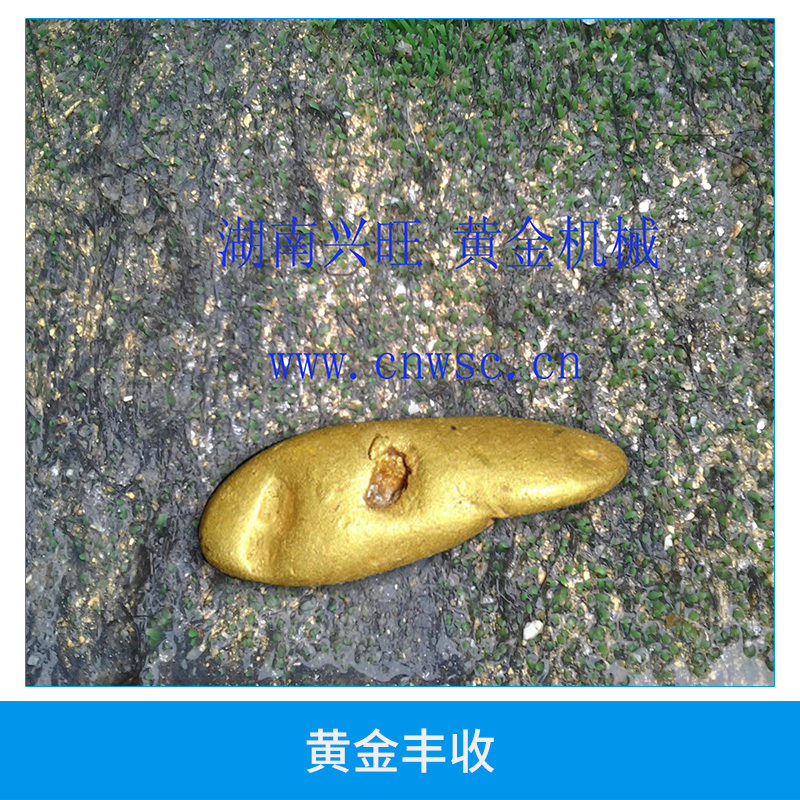 專業(yè)產銷跳汰機 湖南砂金設備 湖南鉆石開采設備 湖南淘金船 湖南旱地挖金，出口 湖南跳汰機
