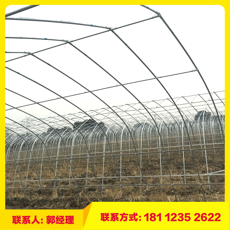 廠家直銷Q195熱鍍鋅大棚管 重慶溫室大棚骨架 四川大棚鋼管