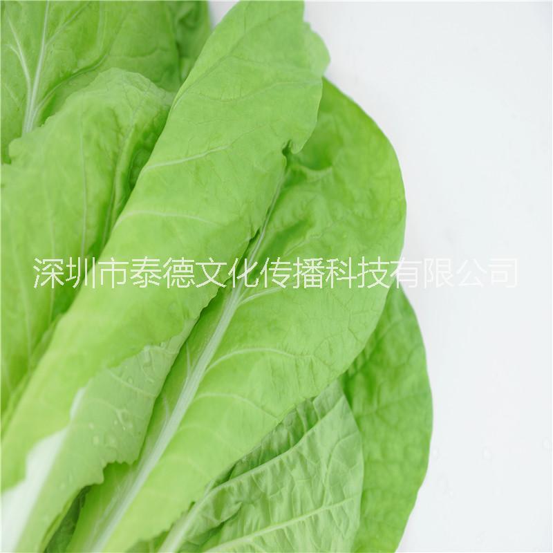 泰德寶島菜園 小白菜 約250g