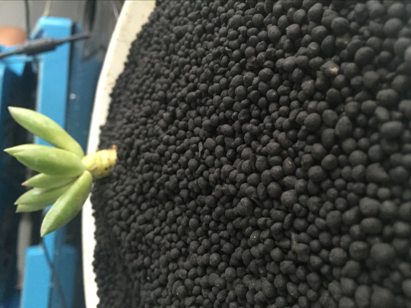 廠家批發(fā)水產(chǎn)肥 水產(chǎn)肥 發(fā)酵雞糞肥 氨基酸水產(chǎn)肥 腐殖酸氮肥 除臭無*發(fā)酵雞糞肥