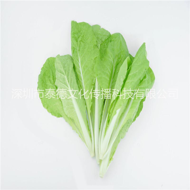 泰德寶島菜園 小白菜 約250g
