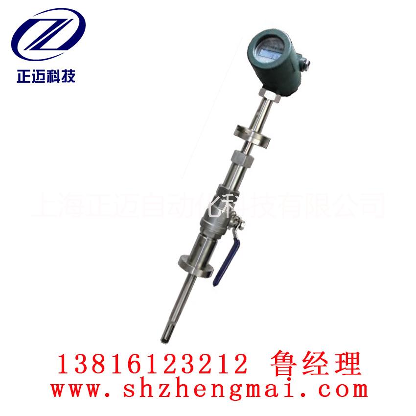 氣體質(zhì)量流量計 熱式氣體質(zhì)量流量計 氣體流量計 流量計價格