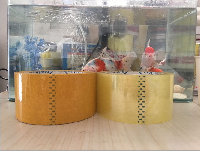 封箱膠帶55cm寬、57cm寬、60cm寬1.3cm厚 米黃透明 透明寬膠帶