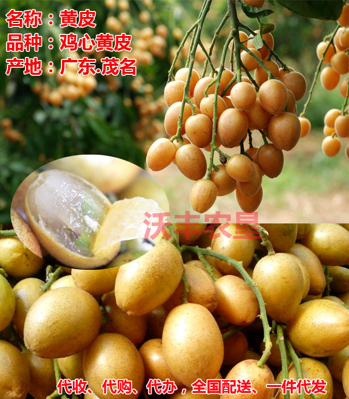 龍眼（桂圓）雞心黃皮果