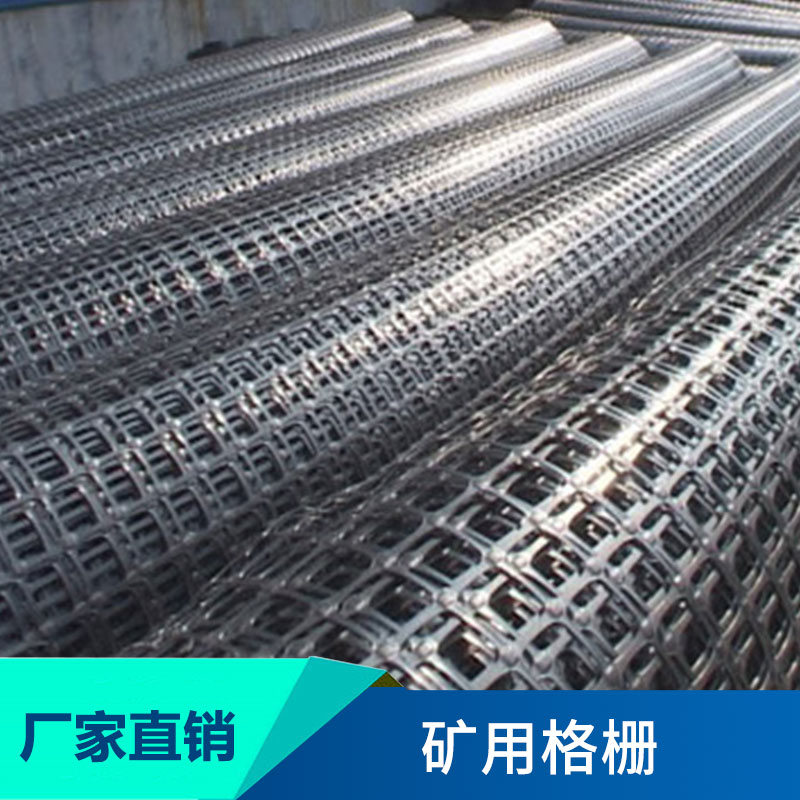 泰安九洲土工材料礦用格柵煤礦井巷道支護(hù)護(hù)幫土工格柵護(hù)幫網(wǎng)批發(fā)