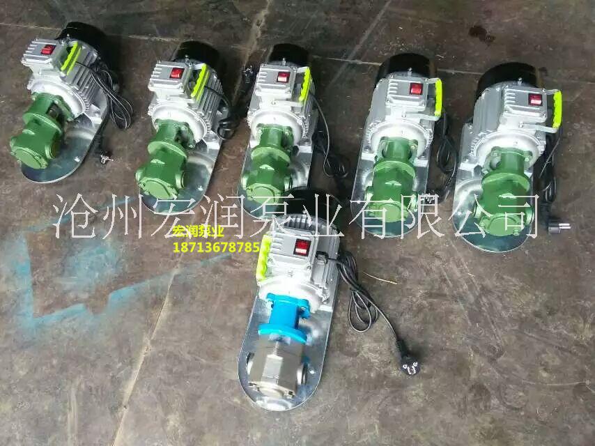 小流量微型輸油泵/WCB-30/WCB-50/WCB-75型便攜式齒輪油泵