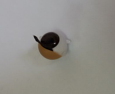 柔韌型尼龍快干膠水 聚力專注研發(fā)生產(chǎn)中高端快干膠廠家