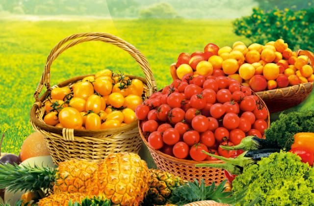 樂山農(nóng)產(chǎn)品營銷策劃品牌建設(shè)