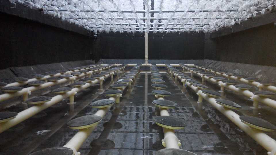 供應半軟性填料 接觸氧化塔塑料半軟填料 接觸氧化池塑料半軟填料