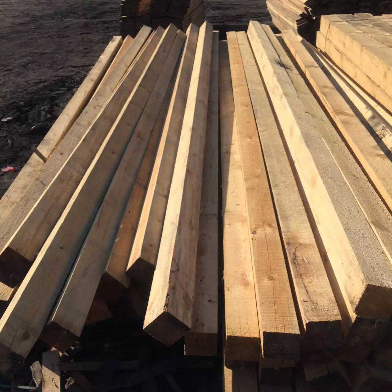 建筑工地施工木方批發(fā) 北京木方批發(fā) 竹膠板批發(fā) 模板