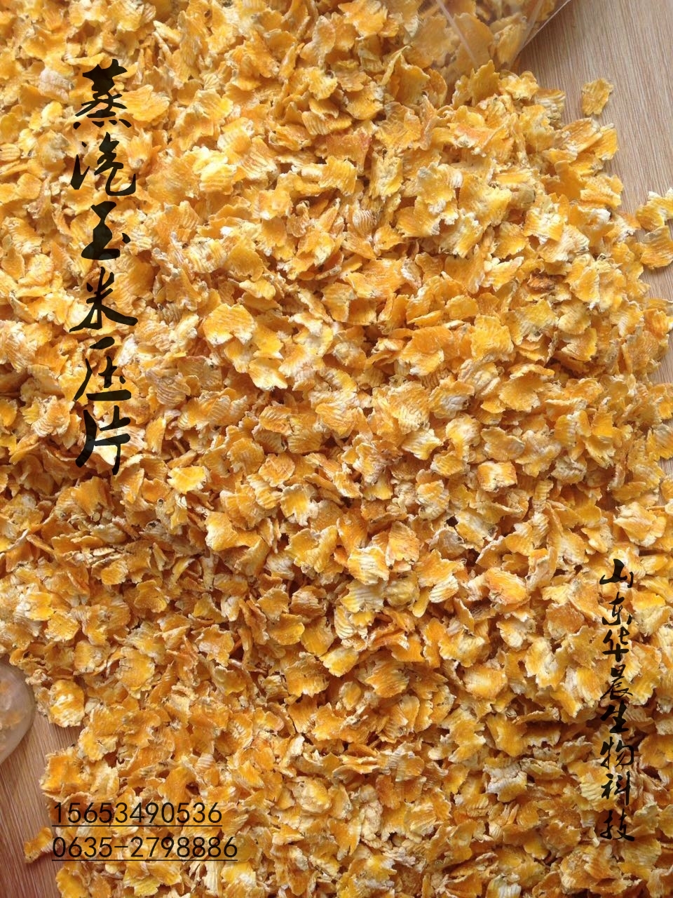 大閘蟹養(yǎng)殖飼料玉米 蒸汽壓片玉米