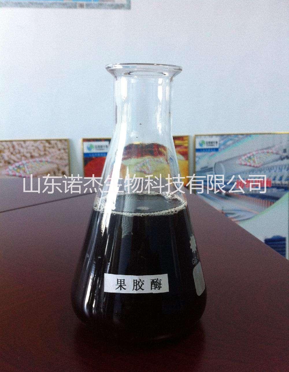 食品用工業(yè)用果膠酶