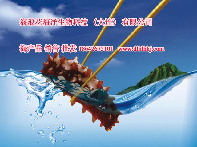大連*海參銷售