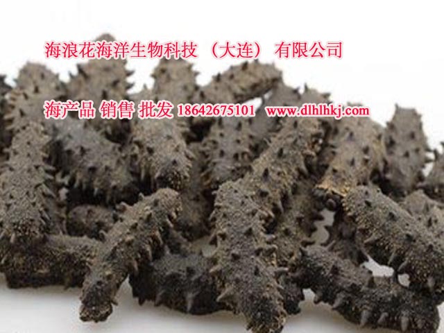 大連*海參銷售