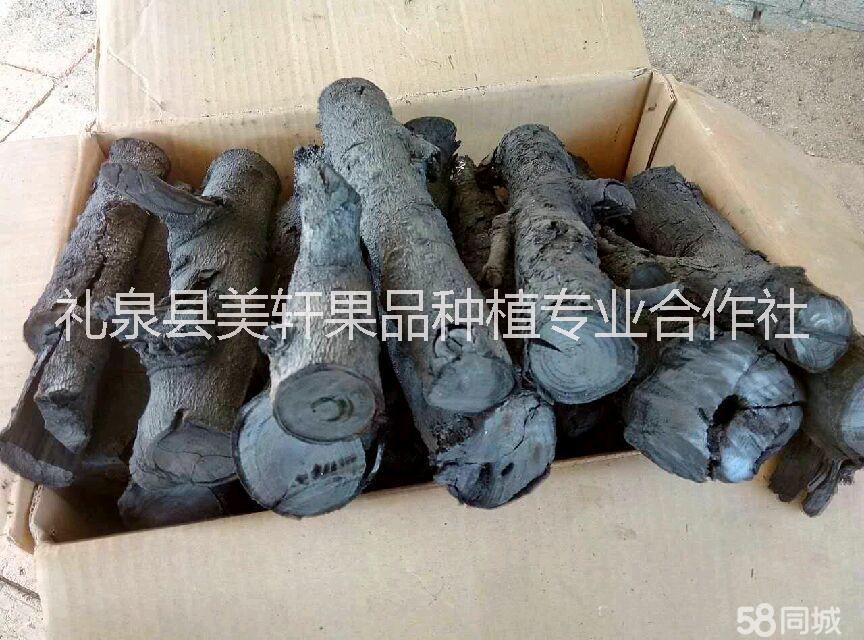 供應純蘋果木燒烤木炭， 燒烤木炭，烤肉木炭，果木木炭