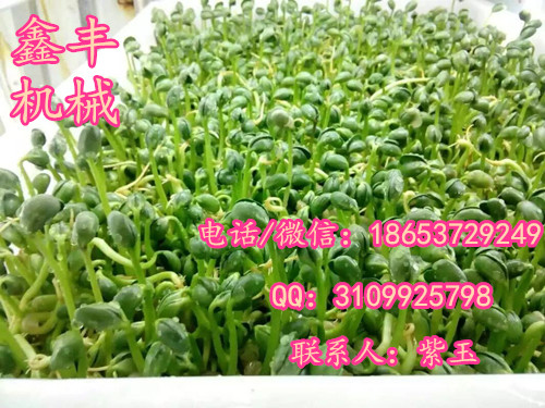 齊齊哈爾豆芽機(jī)家用豆芽機(jī)使用說(shuō)明   發(fā)豆芽設(shè)備廠家