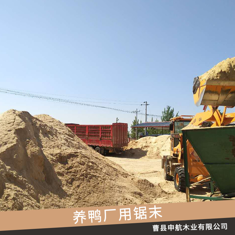 曹縣申航木業(yè)養(yǎng)鴨廠用鋸末批發(fā)發(fā)酵床養(yǎng)鴨用em菌種墊料鋸末木屑