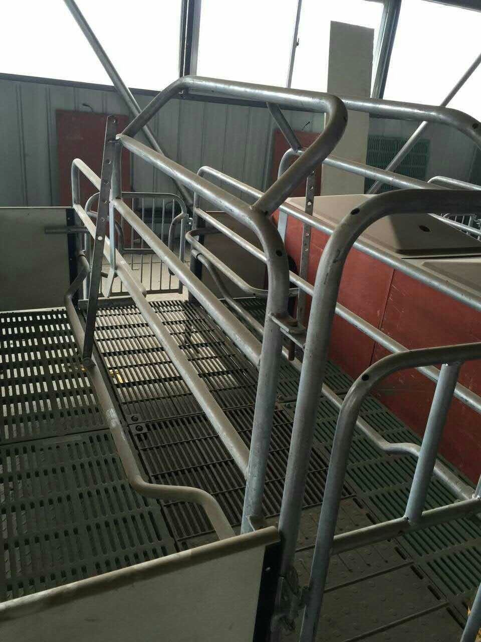 肥豬定位欄限位欄 限位欄 母豬欄一個(gè)豬位起售帶食槽(母豬產(chǎn)床 保育床）定制 肥豬限位欄 肥豬限位欄定位欄