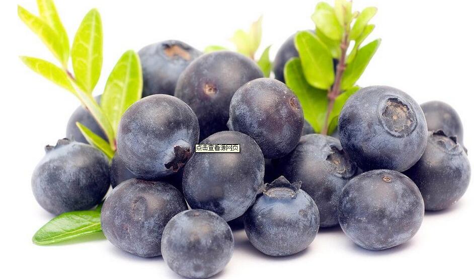 藍莓濃縮汁 天然濃縮果汁，藍莓濃縮汁 供天然濃縮果汁，藍莓濃縮汁