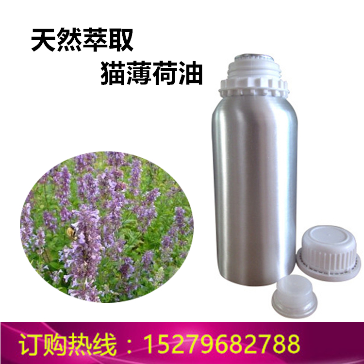 泰誠供應(yīng)貓薄荷油 貓薄荷草蒸餾萃取貓薄荷油  優(yōu)質(zhì)單方貓薄荷精油