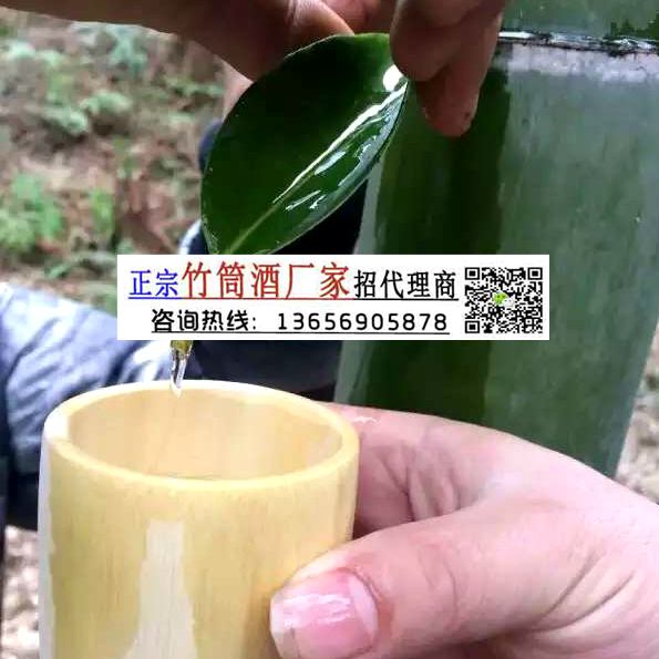 客家一品青竹酒 福建竹筒酒價格  竹筒酒招商