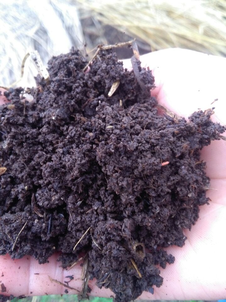湖南蚯蚓糞報(bào)價(jià)|蚯蚓糞供應(yīng)商|蚯蚓糞批發(fā)價(jià)格