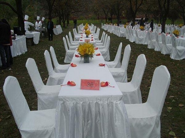 成都龍銘租賃提供大小活動物料出租