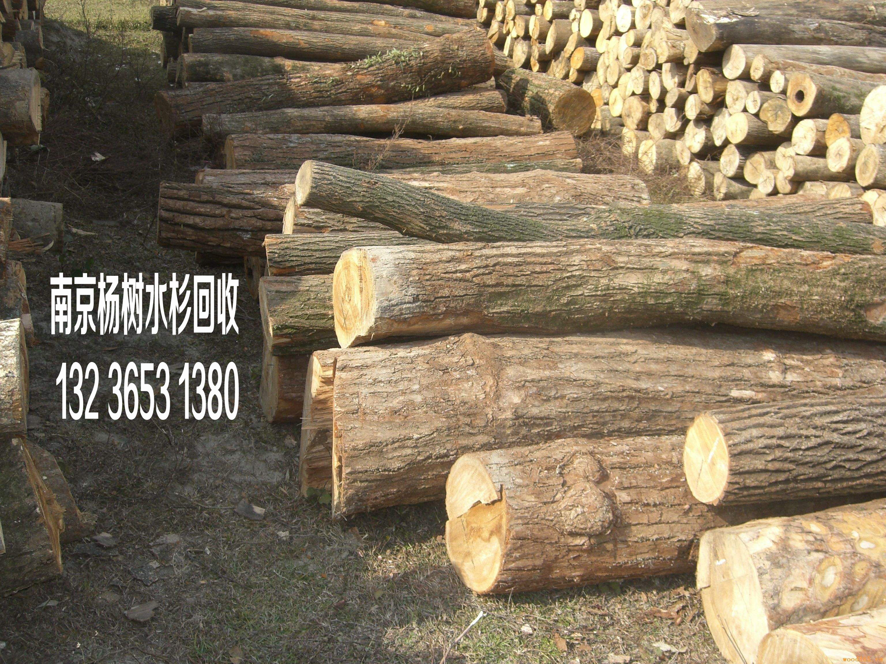 南京廢鐵廢金屬回收南京廢鋼材回收廠家