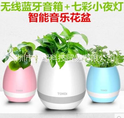 智能帶藍牙音響盆栽綠植照明的音箱 可彈琴音樂花盆智能創(chuàng)意