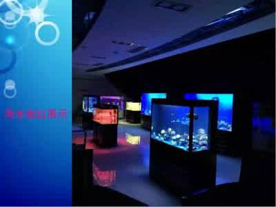 海洋展出租，陽義展覽（全國出租）