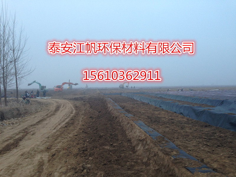 廣西藕池養(yǎng)殖用土工膜廠家報價 0.5毫米土工膜廠家直銷 廣西淺水池蓮藕種植用防滲土工膜