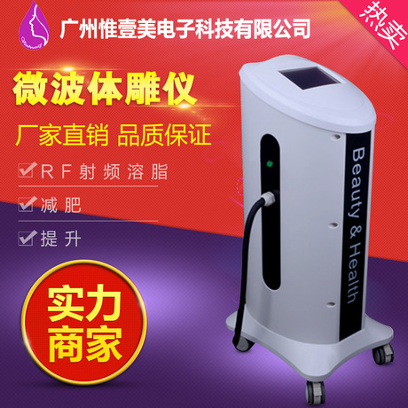 廠家直銷 批發(fā) 微波體雕儀 纖體 養(yǎng)生疏通經(jīng)絡(luò)  RF 負(fù)壓