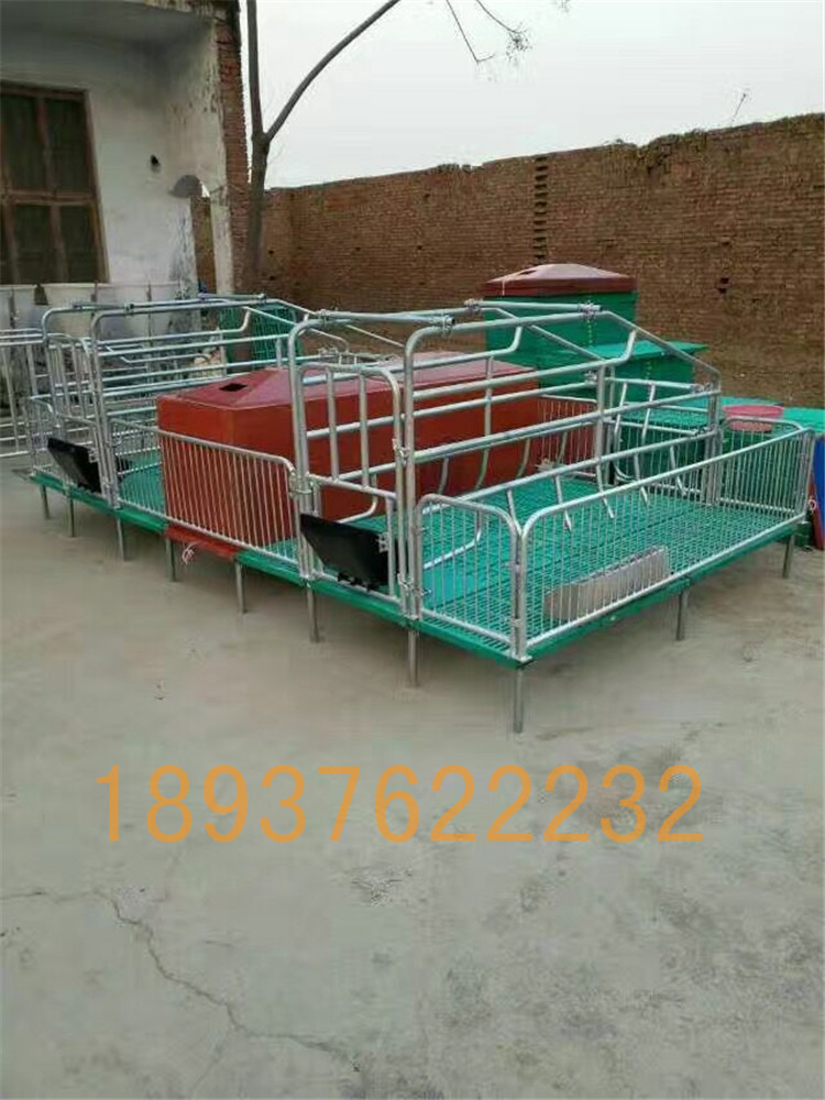 母豬產(chǎn)床 豬用分娩欄 產(chǎn)床