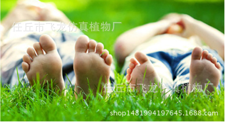 草皮 人造仿真草坪 草皮價(jià)格工程綠化草坪批發(fā) 人造草坪價(jià)格